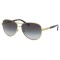 ΓΥΑΛΙΑ ΗΛΙΟΥ RALPH LAUREN RA 4117 313311